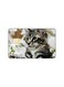 PRINTED BANK CARD STICKER Aesthetic Grey Cat Drawing With Roses