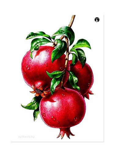 Printed Wall Sticker Multicolour 20cm