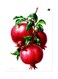Printed Wall Sticker Multicolour 20cm