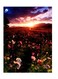 Printed Wall Sticker Multicolour 20cm