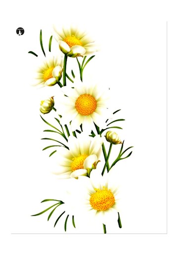 Printed Wall Sticker Multicolour