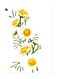 Printed Wall Sticker Multicolour