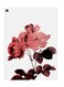 Printed Wall Sticker Multicolour 20cm