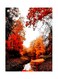 Printed Wall Sticker Multicolour 20cm