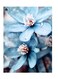 Printed Wall Sticker Multicolour 20cm