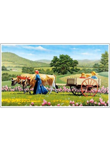 Decorative Wall Sticker Multicolour