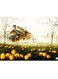 Printed Wall Sticker Multicolour 20cm