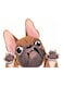 3D Unique Car Styling Funny Puppy Cartoon Car Sticker Colorful Window Body Vinyl Sticker Decal