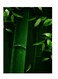 Printed Wall Sticker Multicolour 20cm