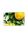 PRINTED BANK CARD STICKER Beautiful Lemons Drawing With Tree Leaves
