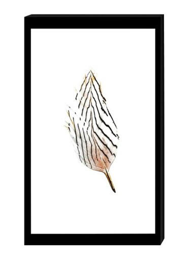 Feather Wall Decor Painting With Inner Frame Black/White/Beige 40 x 60cm