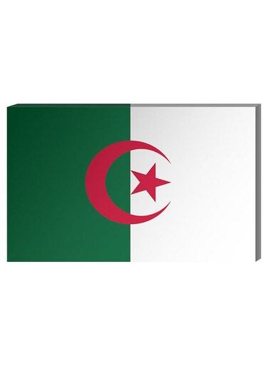 Algerian Flag Wall Decor Painting With Inner Frame Green/White/Red 40 x 60cm