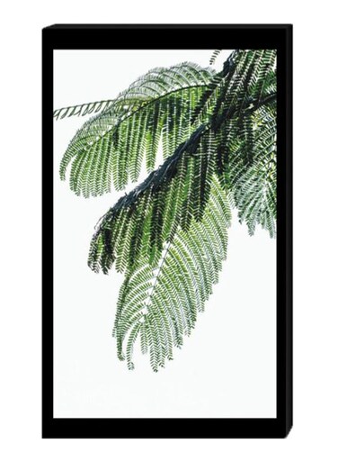Palm Leaf Wall Decor Painting With Inner Frame White/Green/Black 40 x 60centimeter