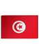Tunisian Flag Wall Decor Painting With Inner Frame Red/White 40 x 60cm