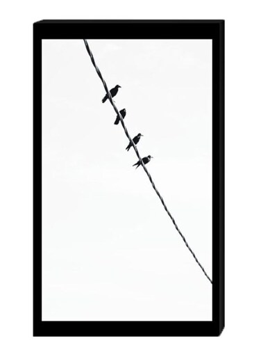 Birds Wall Decor Painting With Inner Frame Black/White 40 x 60centimeter