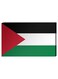 Palestinian Flag Wall Decor Painting With Inner Frame Multicolour 40 x 60centimeter