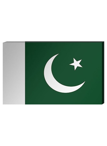 Pakistan Flag Wall Decor Painting With Inner Frame Green/White 40 x 60cm