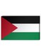 Palestinian Flag Wall Decor Painting With Inner Frame Multicolour 40 x 60cm
