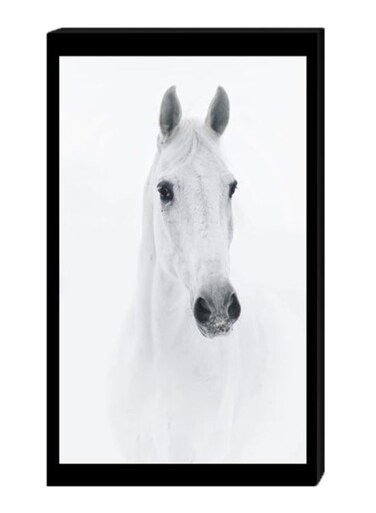 Horse Wall Decor Painting With Inner Frame White/Black 40 x 60cm