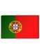 Portuguese Flag Wall Decor Painting With Inner Frame Multicolour 40 x 60centimeter
