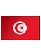 Tunisian Flag Wall Decor Painting With Inner Frame Red/White 40 x 60centimeter