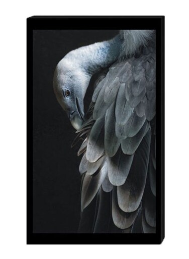 Vulture Bird Wall Decor Painting With Inner Frame Multicolour 40 x 60centimeter