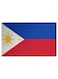 Filipino Flag Wall Decor Painting With Inner Frame Multicolour 40 x 60cm
