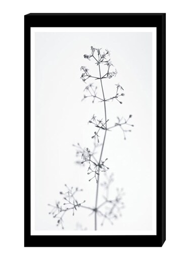 Modern Wall Decor Painting With Inner Frame Black/White 40 x 60centimeter