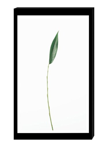 Modern Wall Decor Painting With Inner Frame Black/White/Green 40 x 60centimeter