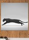 Jaguar Themed Wall Decor Grey/Black 30x30cm
