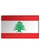Lebanese Flag Wall Decor Painting With Inner Frame White/Red/Green 40 x 60centimeter