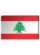 Lebanese Flag Wall Decor Painting With Inner Frame White/Red/Green 40 x 60cm