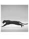 Jaguar Themed Wall Decor Grey/Black 30x30cm