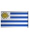 Uruguayan Flag Wall Decor Painting With Inner Frame White/Blue/Yellow 40 x 60cm