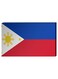 Filipino Flag Wall Decor Painting With Inner Frame Multicolour 40 x 60centimeter