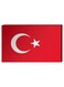 Turkish Flag Wall Decor Painting With Inner Frame Red/White 40 x 60centimeter