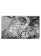 Islamic Calligraphy Wall Decor Painting With Inner Frame Grey/Black/White 40 x 60centimeter