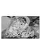 Islamic Calligraphy Wall Decor Painting With Inner Frame Grey/Black/White 40 x 60centimeter