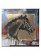 Horse Animation Hidden Frame Canvas Wall Painting Multicolour 50 x 50cm