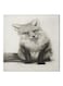 Fox Themed Canvas Wall Painting With Hidden Frame White/Black/Grey 50x50cm