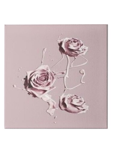 Roses Animation Hidden Frame Canvas Wall Painting Pink 50 x 50cm