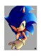 Video Game Sonic Metal Plate Poster Multicolour 15 x 20cm