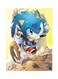 Video Game Sonic Metal Plate Poster Multicolour 15 x 20cm