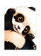 Panda Metal Plate Poster Black/White/Brown 15x20cm