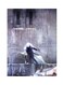 Video Game Assassin's Creed Metal Plate Poster Multicolour 15 x 20cm