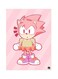 Video Game Sonic Metal Plate Poster Multicolour 15x20cm