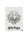 Harry Potter Metal Plate Poster Multicolour 15x20centimeter