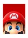 Video Game Super Mario Metal Plate Poster Multicolour 15 x 20cm