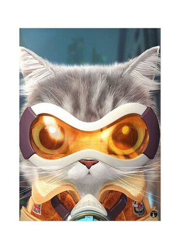 Video Game Overwatch Metal Plate Poster Multicolour 15x20cm