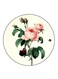 Vintage Art Printed Fridge Magnet Round Multicolour